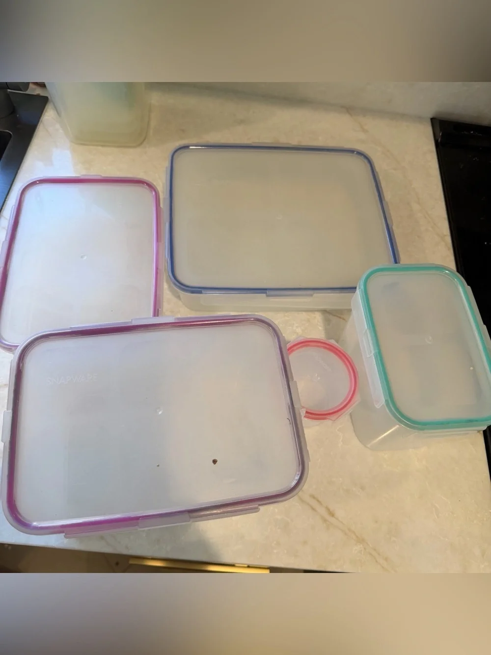 Plastic Food Storage Container Set with Colorful Lids